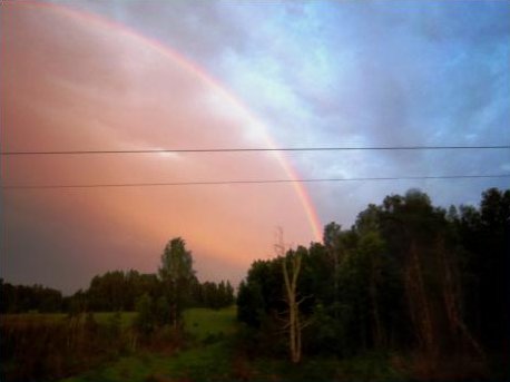 Irgendwo nahe Barabinsk